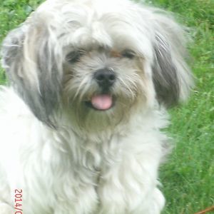 Meet your Posher, Jane